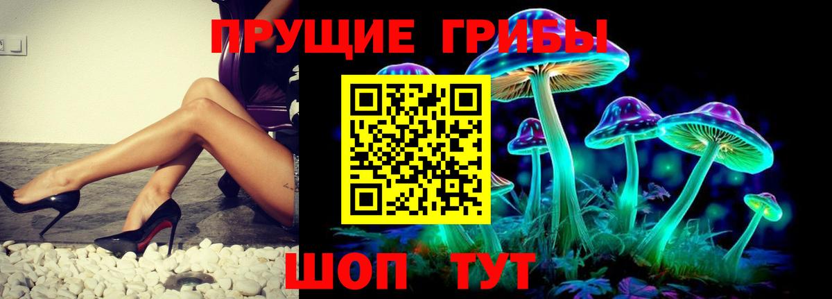 Псилоцибиновые грибы прущие грибы  купить закладку  Галлюциногенные грибы мухоморы  Котлас  Вход с VPN 